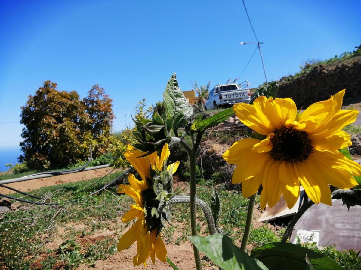 Green Village. Tony Frias. Fasnia Esterno foto